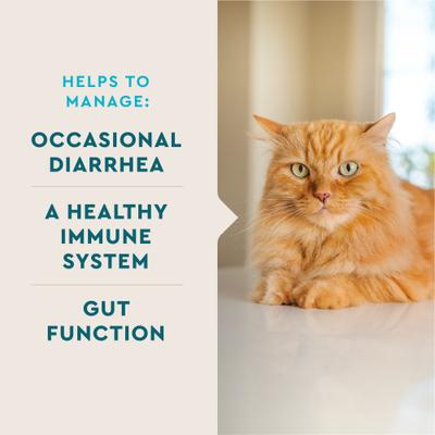 Show full view: VetIQ Chicken Flavored Probiotic Powder Supplement for Cats & Kittens, 30 count slide 3 of 8