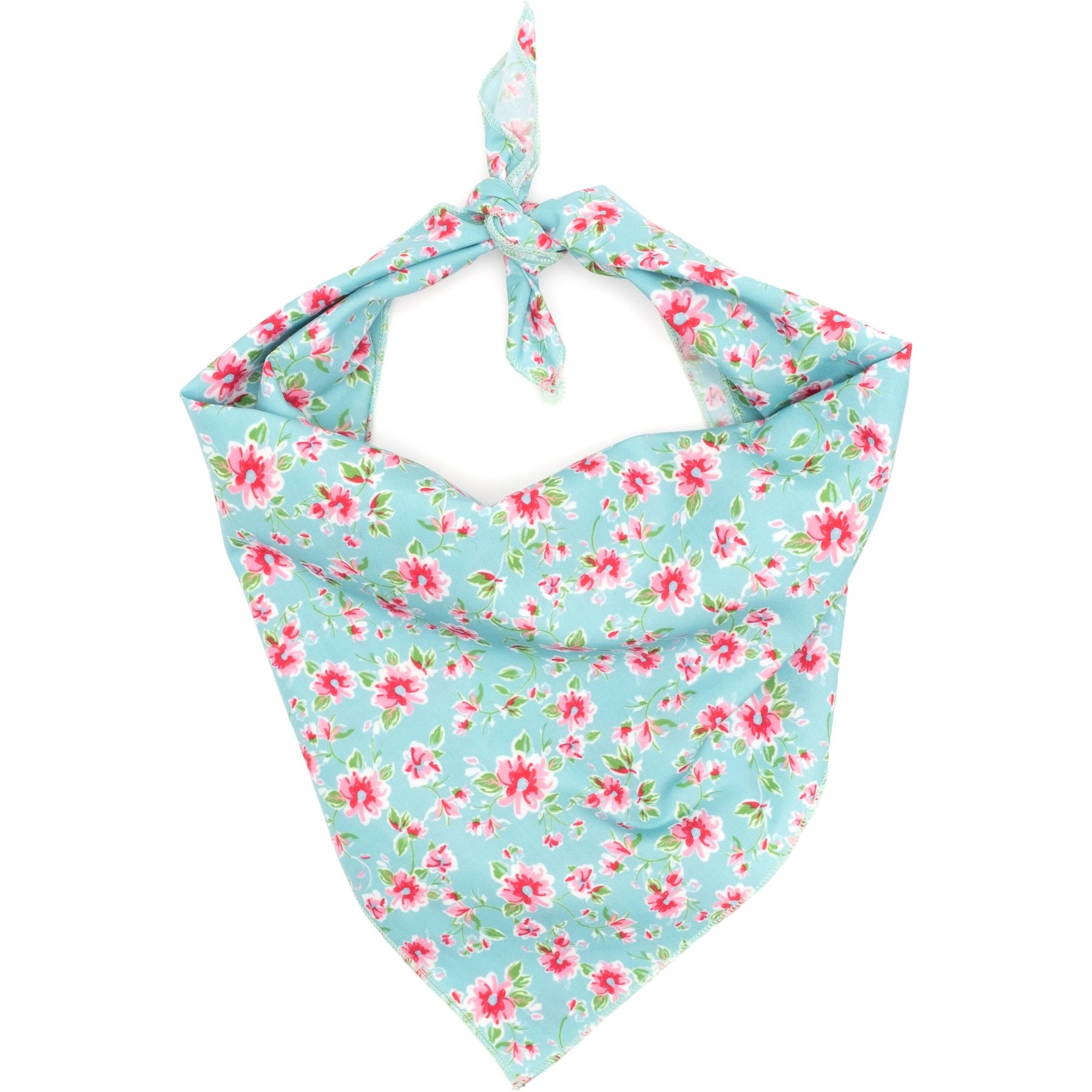 The Worthy Dog Watercolor Floral Dog Bandana, Teal, Small