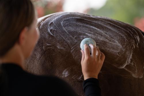 Show full view: Bex Bar Horse Shampoo, 3-oz bar, 3 count, Eucalyptus Rain slide 3 of 6