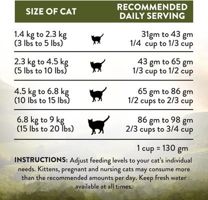 Show full view: Addiction Premium Wild Islands Highland Meat Recipe Grain-Free & High-Protein Dry Cat Food, 10-lb bag, 4-lb bag slide 8 of 11