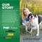 Show in main carousel: Brutus Broth Hip & Joint Chicken Bone Broth Powder with Glucosamine Dog Supplements, 3.5-oz pouch slide 8 of 11