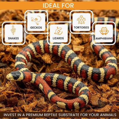 Show full view: ReptiChip RediChip Loose Medium Coconut Chip Reptile Substrate, 12-qt block slide 5 of 6