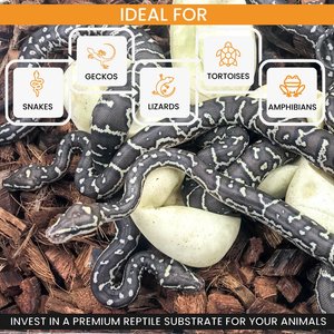 ReptiChip Loose Coconut Chip Reptile Substrate, 12-qt block