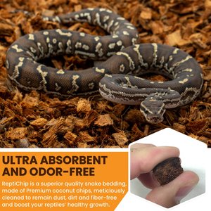 ReptiChip Loose Coconut Chip Reptile Substrate, 12-qt block