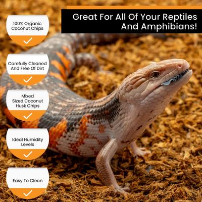 Show full view: ReptiChip Microchip Fine Coconut Chip Reptile Substrate, 36-qt block slide 5 of 6