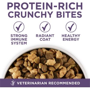 Purina ONE SmartBlend Vibrant Maturity 7+ Chicken Formula Adult Premium Dry Dog Food, 31.1-lb bag