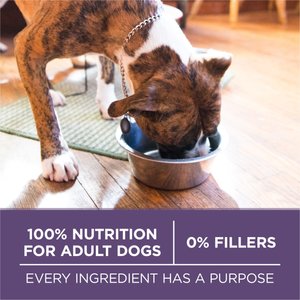 Purina ONE SmartBlend Vibrant Maturity 7+ Chicken Formula Adult Premium Dry Dog Food, 31.1-lb bag