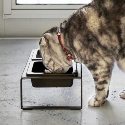 Show full view: Yamazaki Home Tower Elevated Double Dog & Cat Bowl with Stand, 1.25-cup, Black, Tall slide 4 of 6