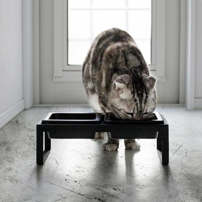 Show full view: Yamazaki Home Tower Elevated Double Dog & Cat Bowl with Stand, 1.25-cup, Black, Tall slide 3 of 6