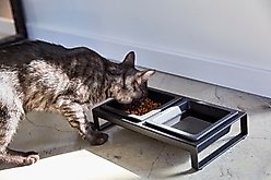 Yamazaki Home Tower Elevated Double Dog & Cat Bowl with Stand, 1.25-cup, Black, Short slide 2 of 9