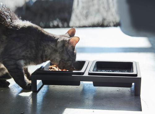 Yamazaki Home Tower Elevated Double Dog & Cat Bowl with Stand, 1.25-cup