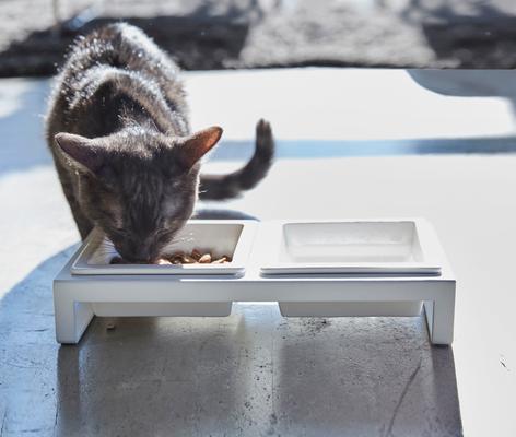 Show full view: Yamazaki Home Tower Elevated Double Dog & Cat Bowl with Stand, 1.25-cup, White, Short slide 7 of 10
