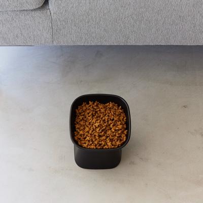 Yamazaki Home Tower Tilted Elevated Dog & Cat Bowl, 6.7-oz