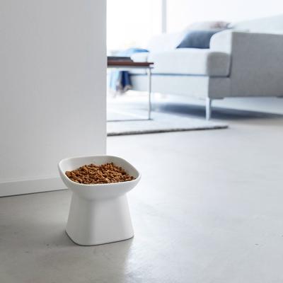 Show full view: Yamazaki Home Tower Tilted Elevated Dog & Cat Bowl, 6.7-oz, White slide 5 of 10