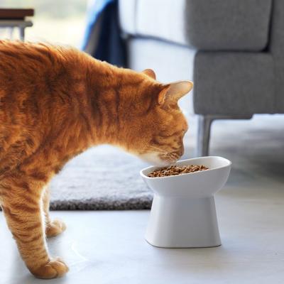 Show full view: Yamazaki Home Tower Tilted Elevated Dog & Cat Bowl, 6.7-oz, White slide 2 of 10