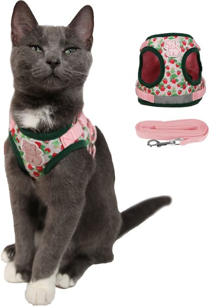 Show full view: Travel Cat Strawberry Shortcake x Travel Cat Harness & Leash Set, Medium slide 1 of 12