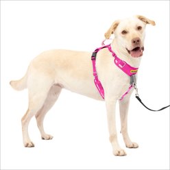 PetSafe Easy Walk Comfort Reflective No Pull Dog Harness, Pink, Large: 30 to 42-in chest