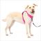Show in main carousel: PetSafe Easy Walk Comfort Reflective No Pull Dog Harness, Pink, Large: 30 to 42-in chest slide 1 of 10