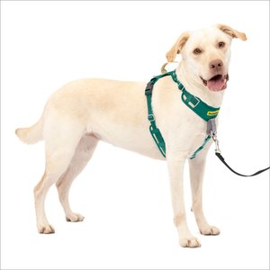 PetSafe Easy Walk Comfort Reflective No Pull Dog Harness, Green, Large: 30 to 42-in chest