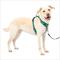 Show in main carousel: PetSafe Easy Walk Comfort Reflective No Pull Dog Harness, Green, Large: 30 to 42-in chest slide 1 of 11