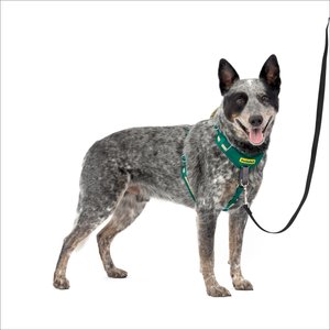 PetSafe Easy Walk Comfort Reflective No Pull Dog Harness, Green, Medium: 24 to 34-in chest