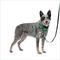 Show in main carousel: PetSafe Easy Walk Comfort Reflective No Pull Dog Harness, Green, Medium: 24 to 34-in chest slide 1 of 10