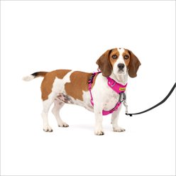 PetSafe Easy Walk Comfort Reflective No Pull Dog Harness, Pink, Small: 19 to 24-in chest