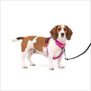 PetSafe Easy Walk Comfort Reflective No Pull Dog Harness, Pink, Small: 19 to 24-in chest