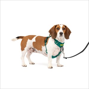 PetSafe Easy Walk Comfort Reflective No Pull Dog Harness, Green, Small: 19 to 24-in chest
