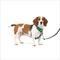 Show in main carousel: PetSafe Easy Walk Comfort Reflective No Pull Dog Harness, Green, Small: 19 to 24-in chest slide 1 of 11