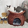 Show in main carousel: Wisfor Indoor Wicker 2-Tier Basket Cat House, Brown, Medium slide 1 of 6