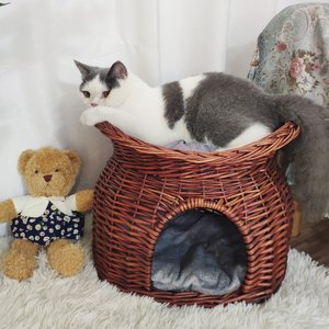 Wisfor Indoor Wicker 2-Tier Basket Cat House, Brown, Medium