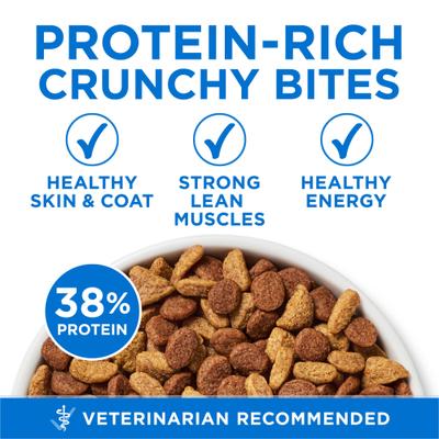 Show full view: Purina ONE Plus Skin & Coat Health Formula Natural Salmon & Ocean Whitefish High Protein Dry Cat Food, 3.5-lb bag slide 4 of 12