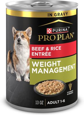 How Much Beef And Rice for Dog by Weight: Exact Feeding Guide