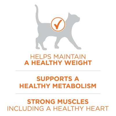 Show full view: Purina ONE +Plus Ideal Weight Natural High Protein Adult Dry Cat Food, 3.5-lb bag slide 6 of 11