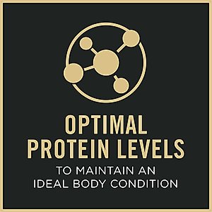 Purina Pro Plan Adult 7+ Complete Essentials Chicken & Rice Entree Wet Dog Food, 13-oz can, case of 12