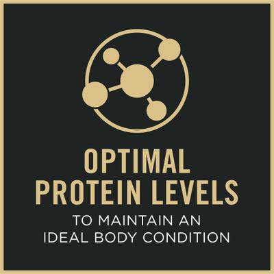 Show full view: Purina Pro Plan Senior Beef & Rice Entree Canned Dog Food, 13-oz, case of 12 slide 7 of 12