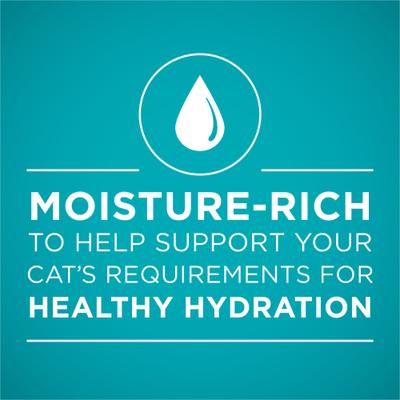 Show full view: Purina ONE Natural Turkey, Chicken & Tuna Variety Pack High Protein Wet Cat Food, 3-oz can, case of 12 slide 5 of 13