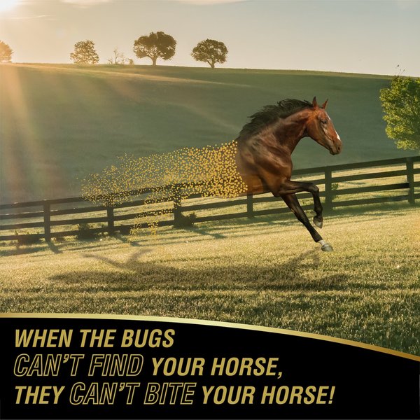 Show full view: Absorbine UltraShield Gold Horse Fly Spray Refill, 32-fl oz bottle slide 3 of 8