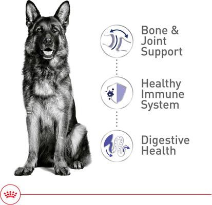 Royal Canin Size Health Nutrition Large Adult Dry Dog Food