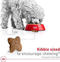 Royal Canin Size Health Nutrition Small Adult Dry Dog Food, 4-lb bag slide 2 of 6
