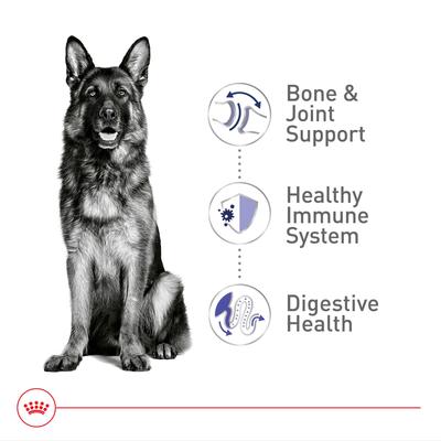 Show full view: Royal Canin Size Health Nutrition Large Adult Dry Dog Food, 40-lb bag slide 4 of 12