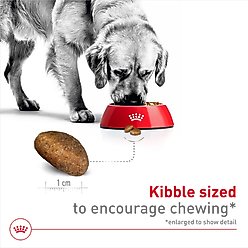 Royal Canin Size Health Nutrition Large Adult Dry Dog Food, 40-lb bag slide 2 of 8