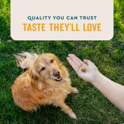 Show full view: VetIQ Hickory Smoke Flavored Soft Chews Flea & Tick Support for Dogs, 60 count slide 5 of 9