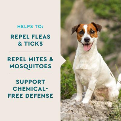 Show full view: VetIQ Hickory Smoke Flavored Soft Chews Flea & Tick Support for Dogs, 60 count slide 2 of 9
