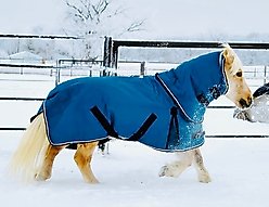 Star Point Horsemanship 350 G 1200 D RipStop Waterproof Hooded Horse Blanket, Teal, 68 to 70-in