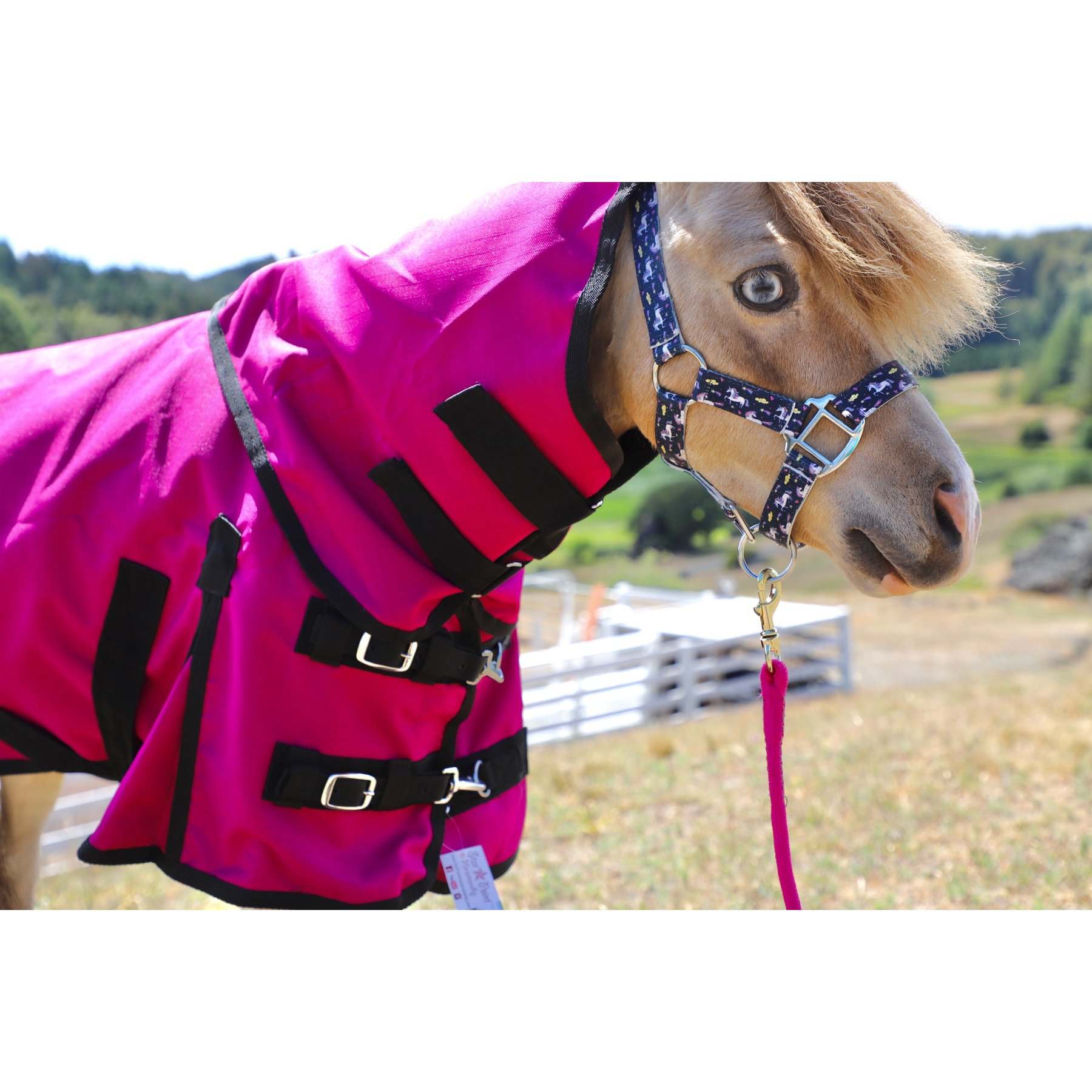 Star Point Horsemanship 1200 D RipStop Waterproof Horse Sheet, Raspberry, 42 to 44-in