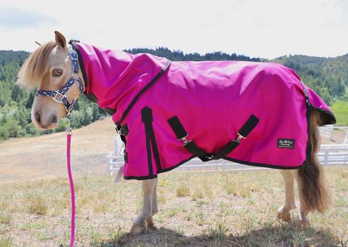 Show full view: Star Point Horsemanship 1200 D RipStop Waterproof Horse Sheet, Raspberry, 48 to 50-in slide 2 of 2