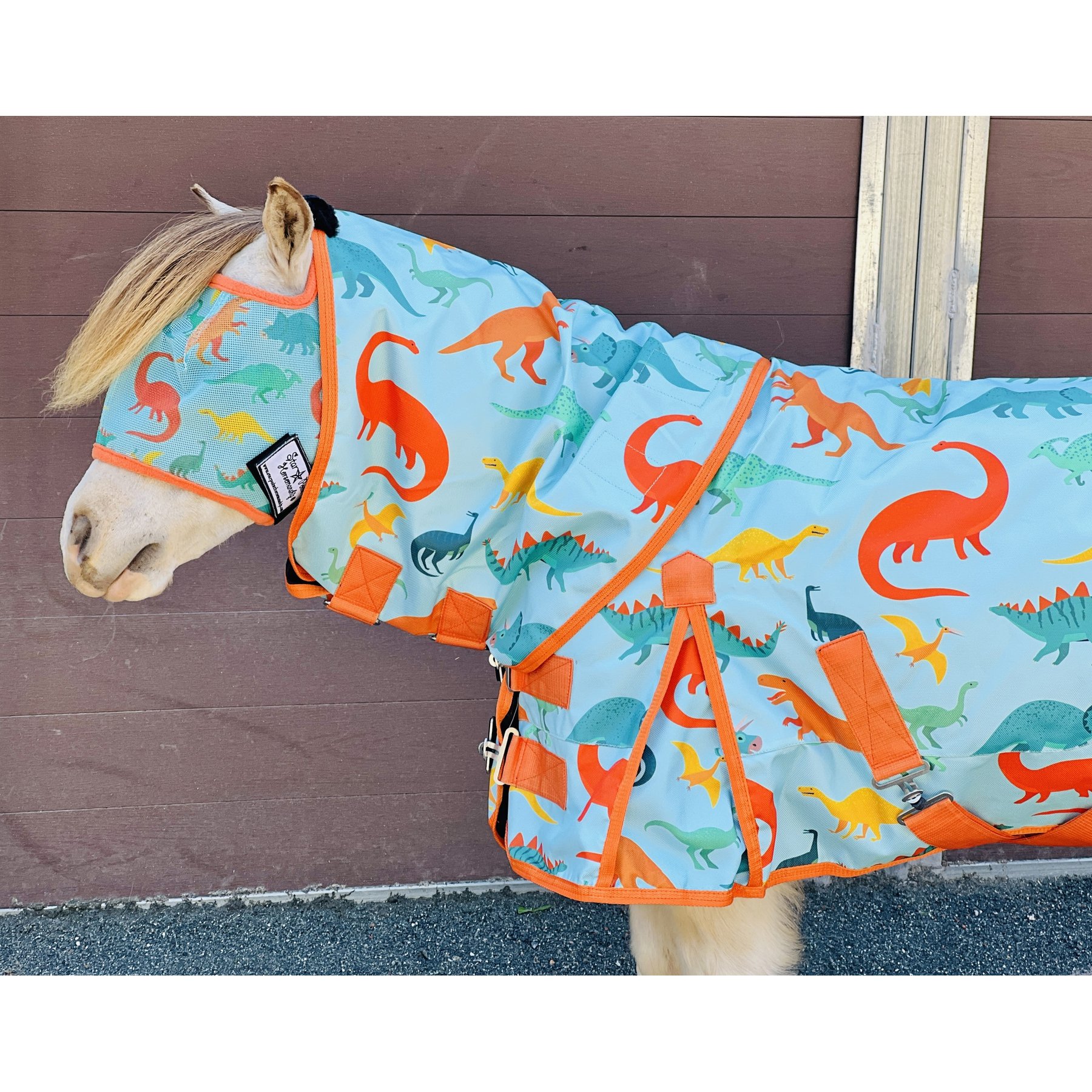 Star Point Horsemanship Blue Dinosaur 600 D Hooded No Fill Horse Sheet, Blue Dinosaur, 38 to 40-in