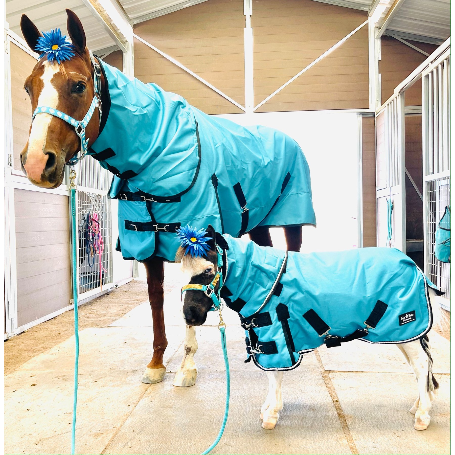 Star Point Horsemanship 1200 D RipStop Waterproof Horse Sheet, Teal, 46 to 48-in